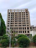 IMG_20230510_063215.jpg